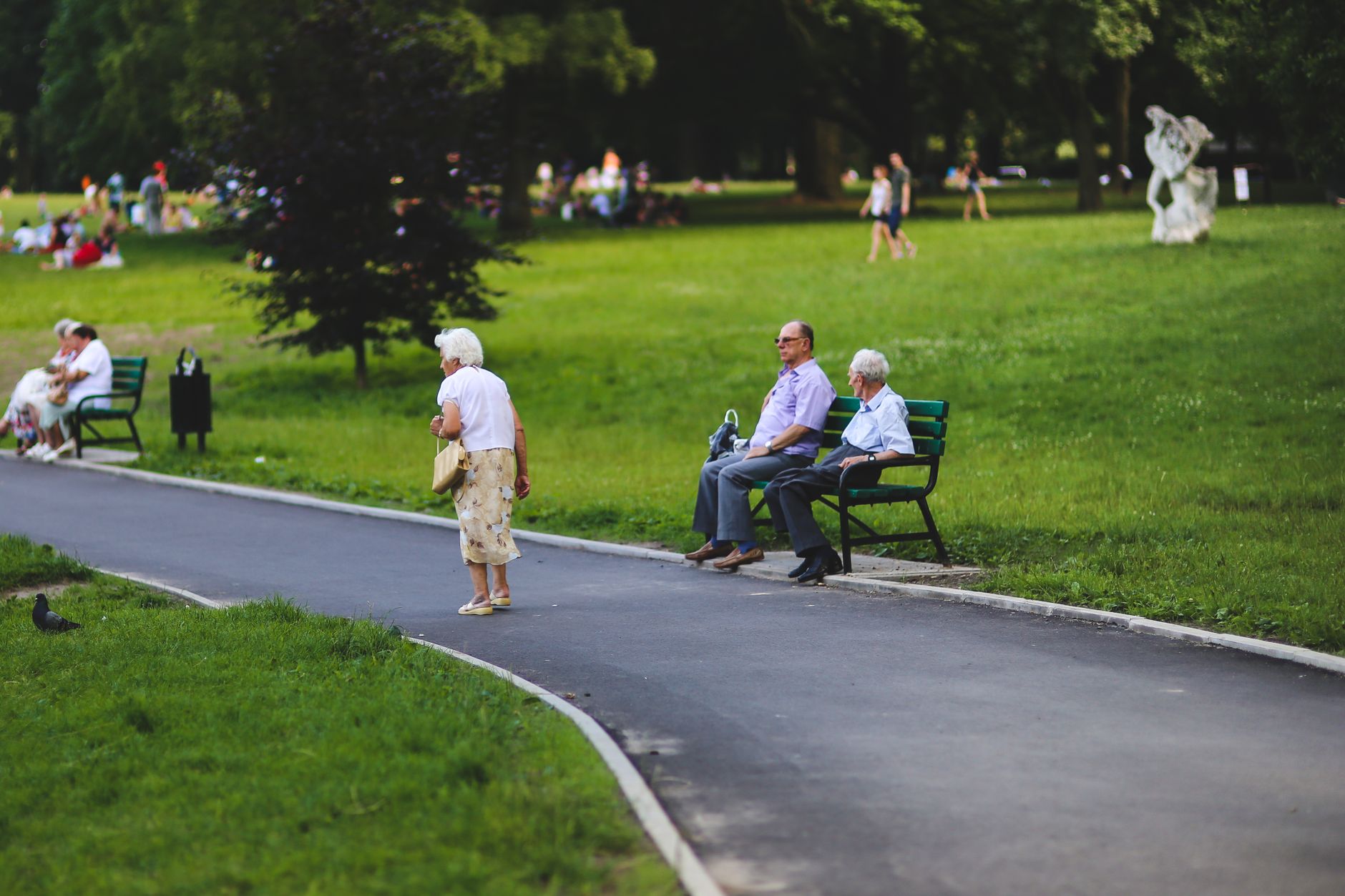 Older people sitting on park benches and walking along a path in a green park