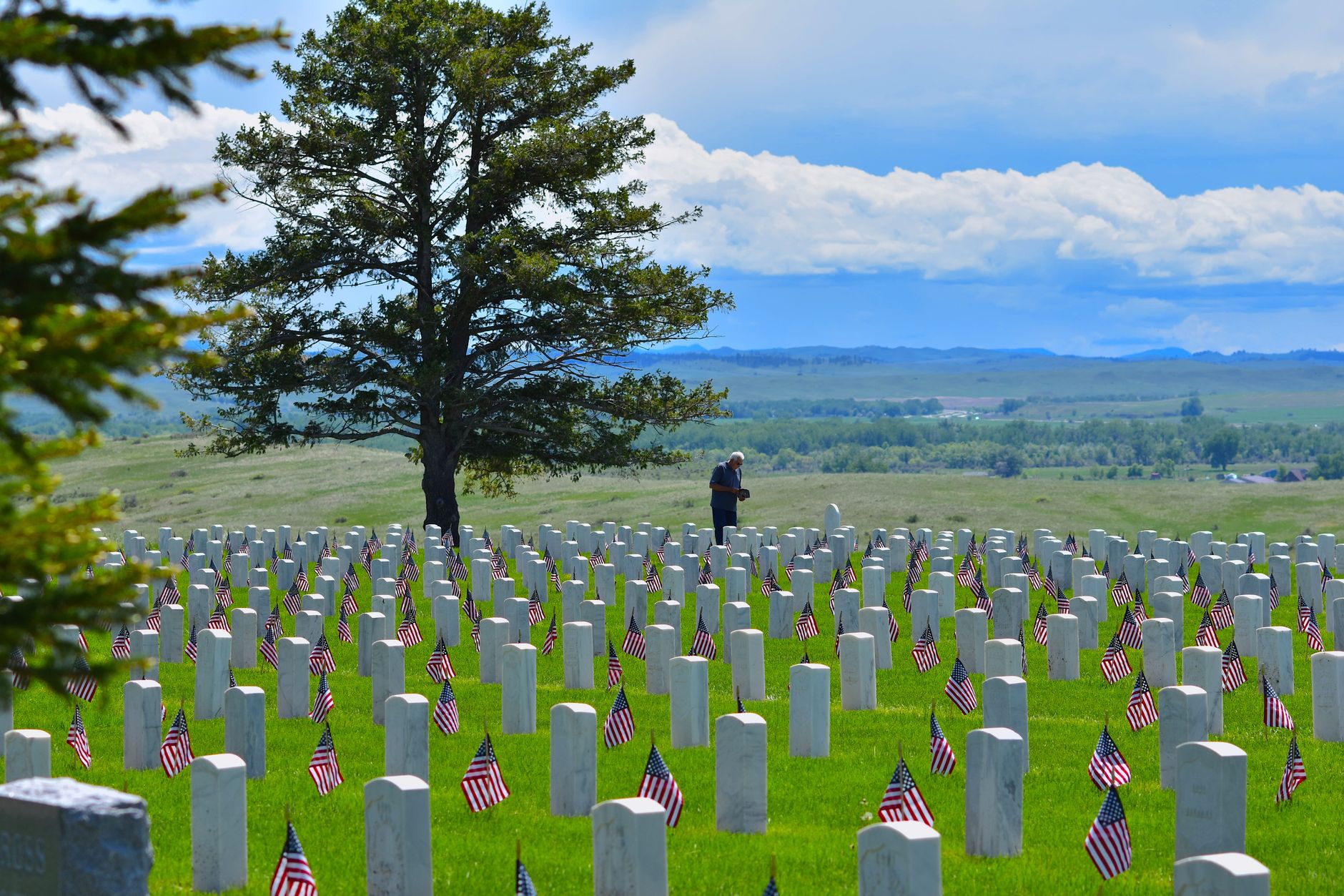 Rows of white headstones with small American flags beside them under a large pine tree and a blue sky with clouds