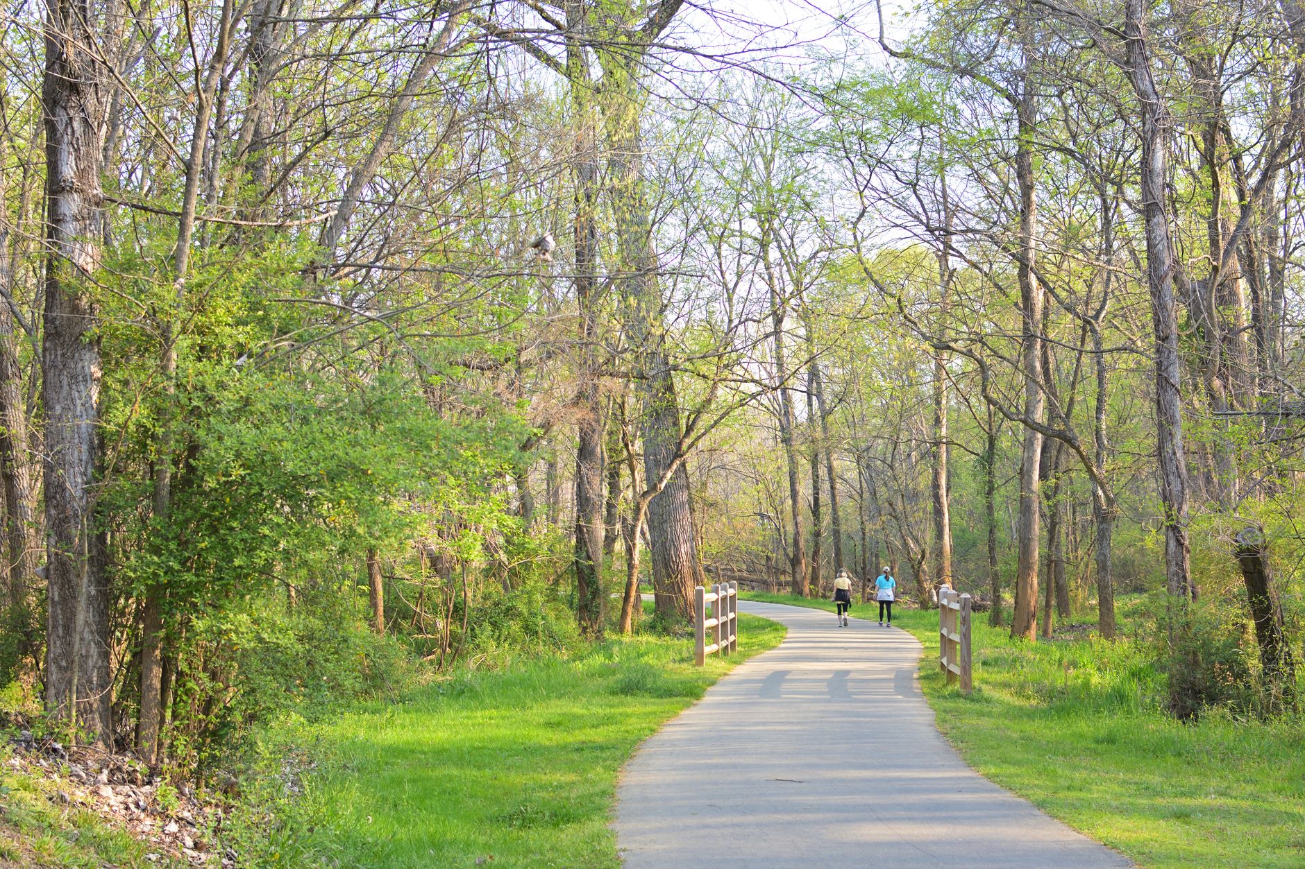 A paved trail through green spring woods with two walkers in the distance