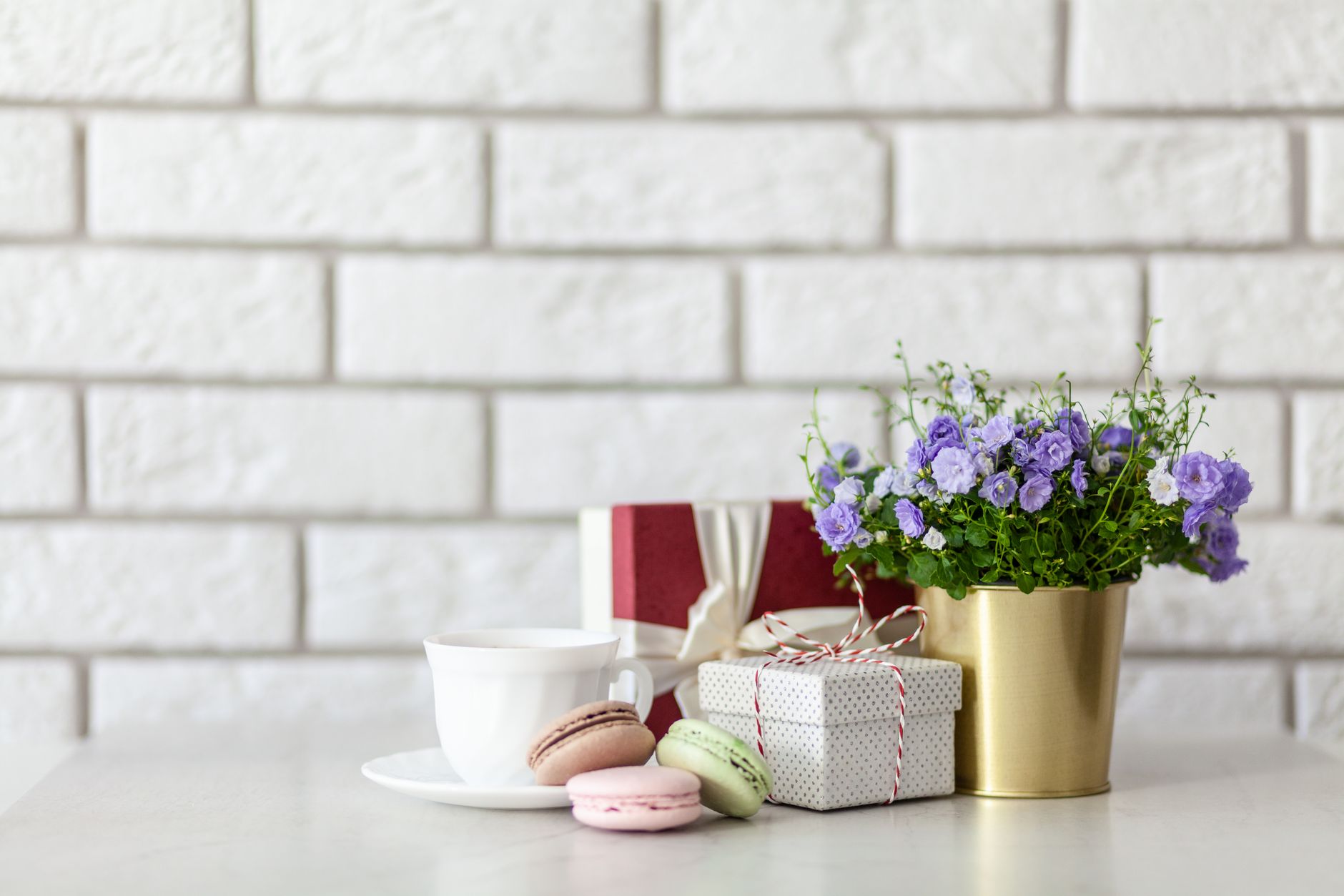 A potted purple flower plant next to wrapped gift boxes, coffee, and macarons on a marble counter