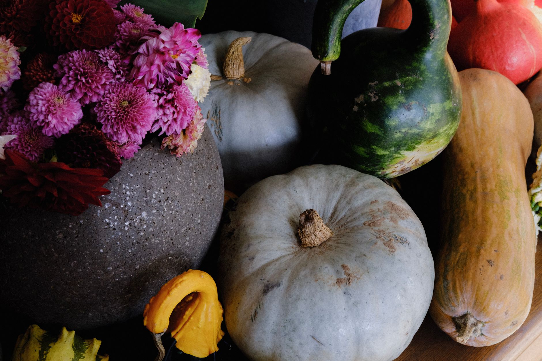 Pink chrysanthemums and red dahlias spilling from a stone vessel beside blue-gray pumpkins, a green gourd, and a butternut squash