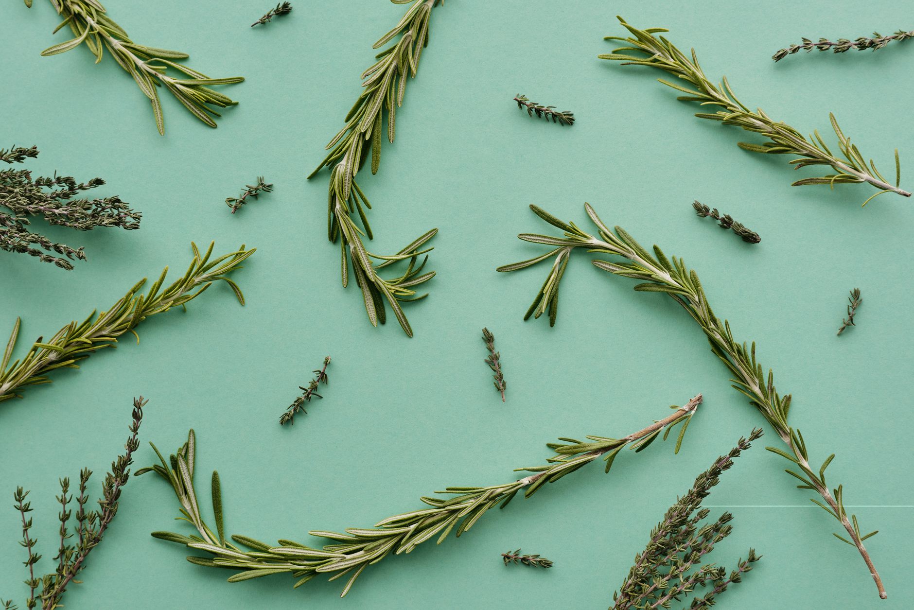 Sprigs of fresh rosemary and thyme scattered on a soft green background