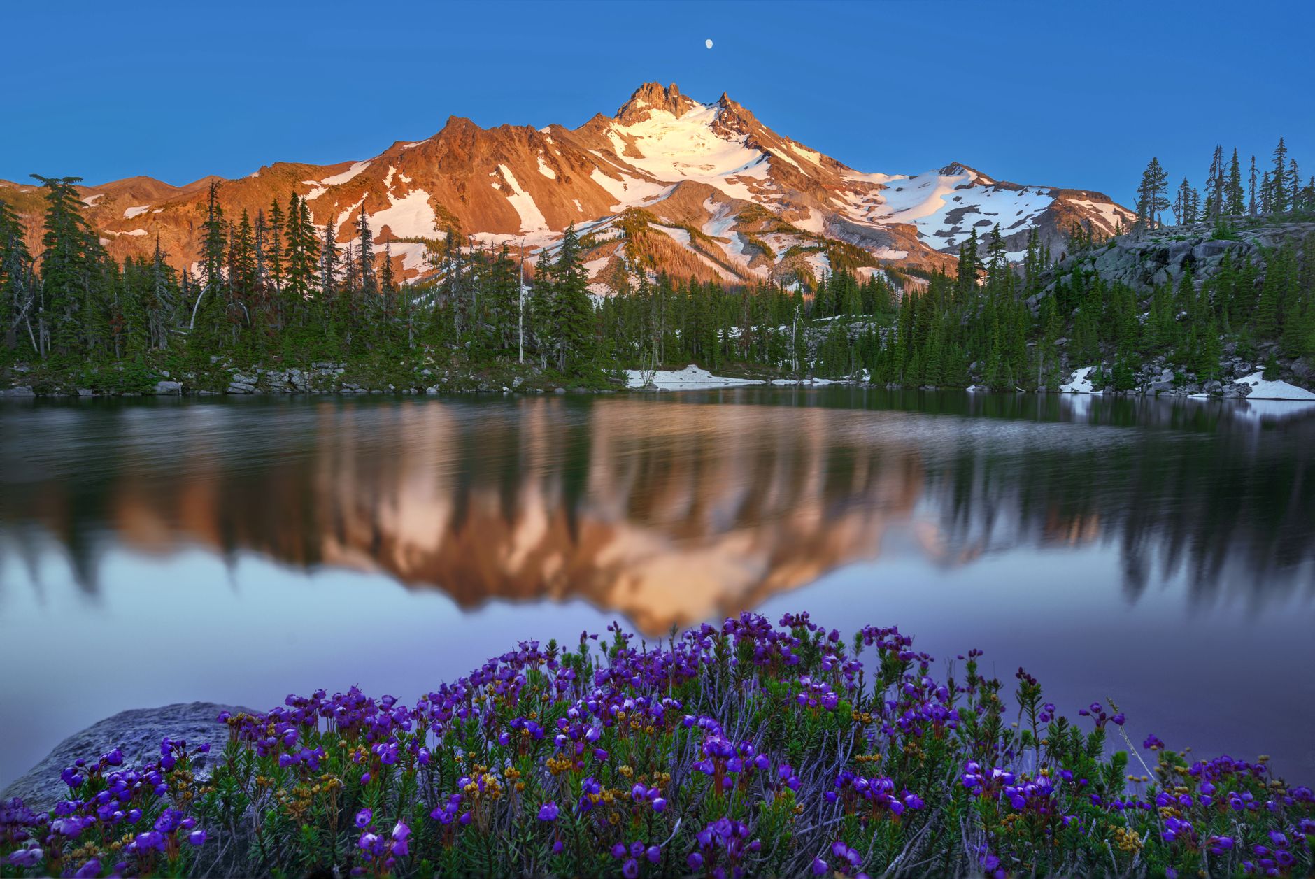 Purple wildflowers beside a still alpine lake with a snow-dusted mountain peak glowing at sunset